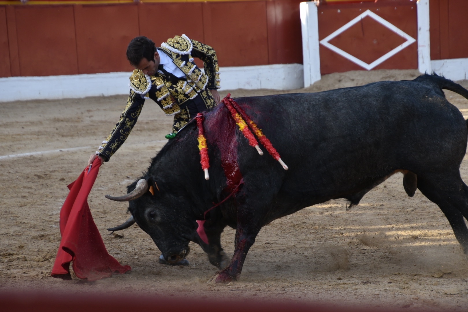 Imagen 20