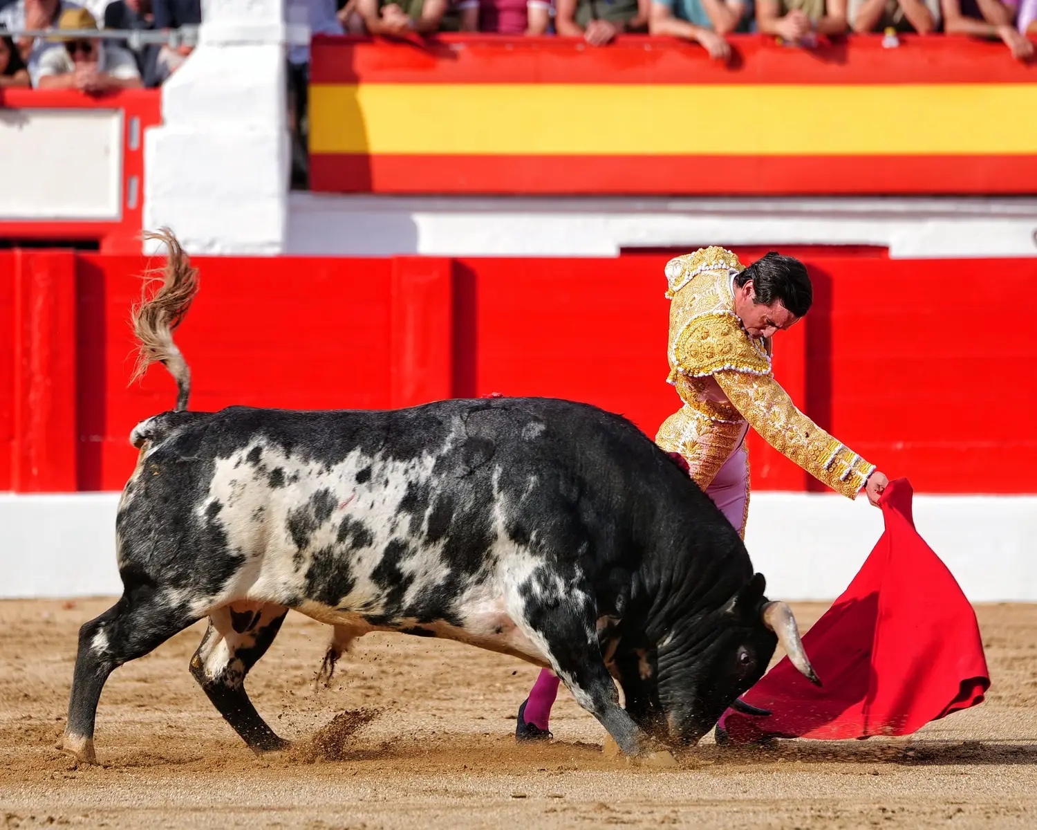 Imagen 1