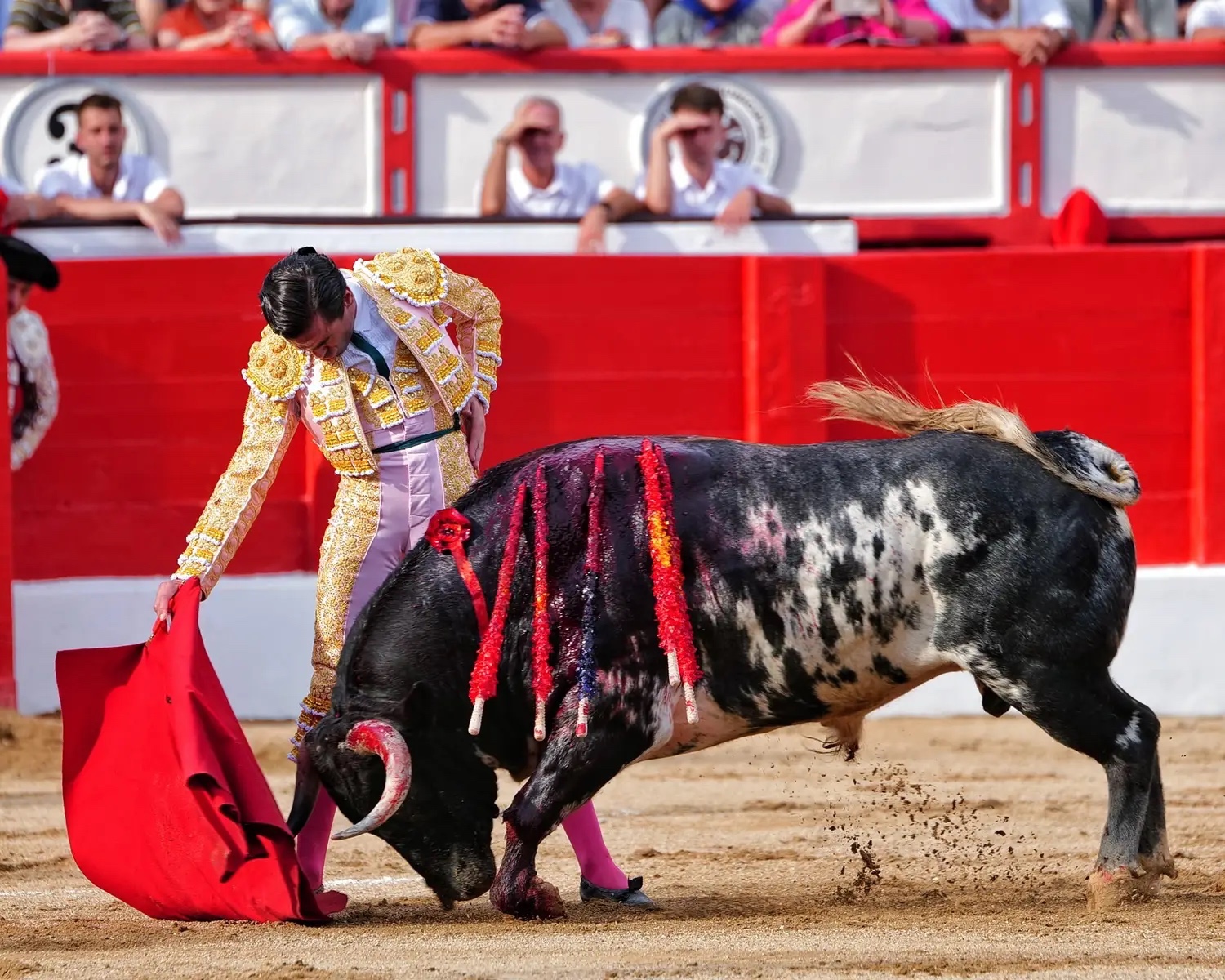 Imagen 3