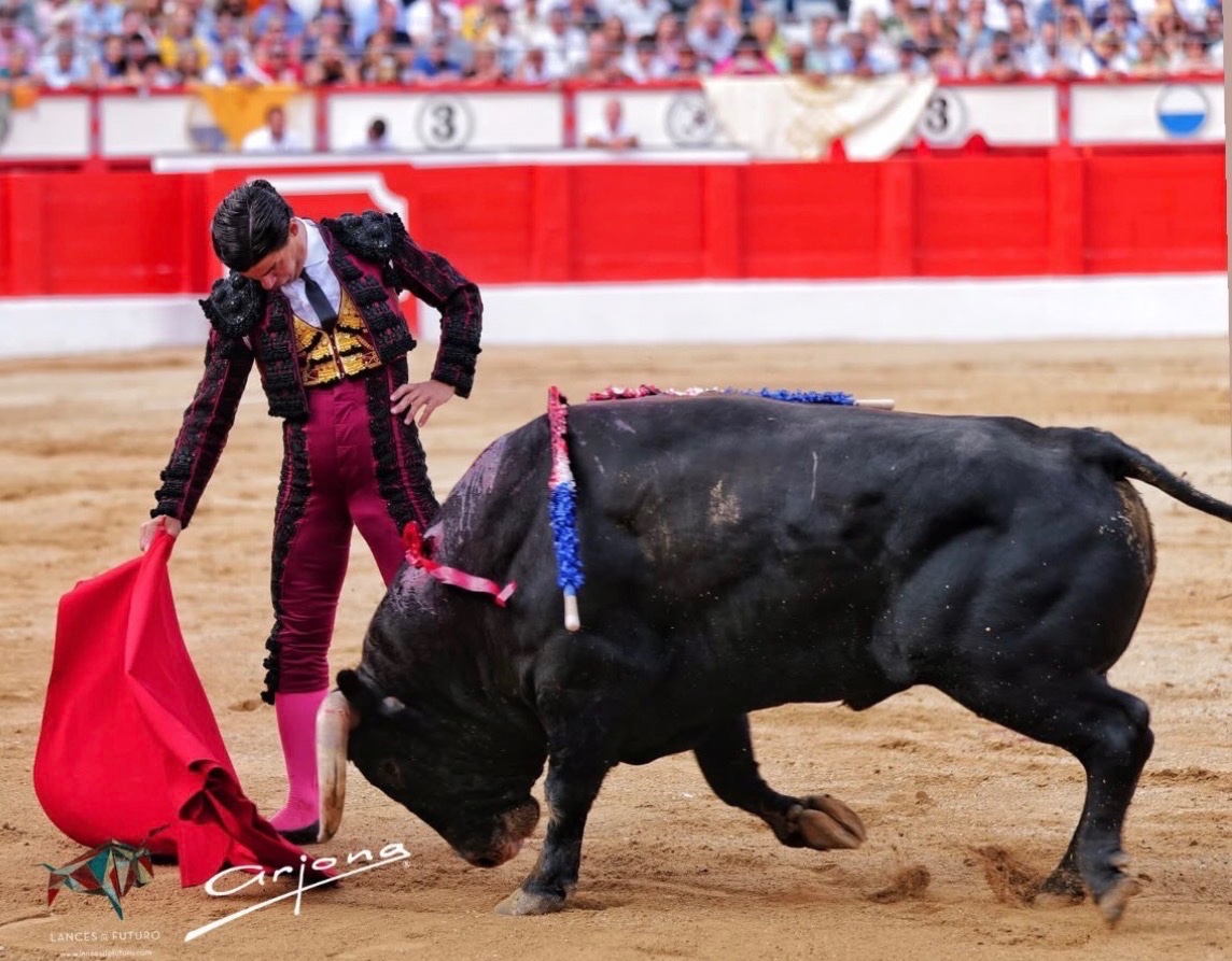 Imagen 1