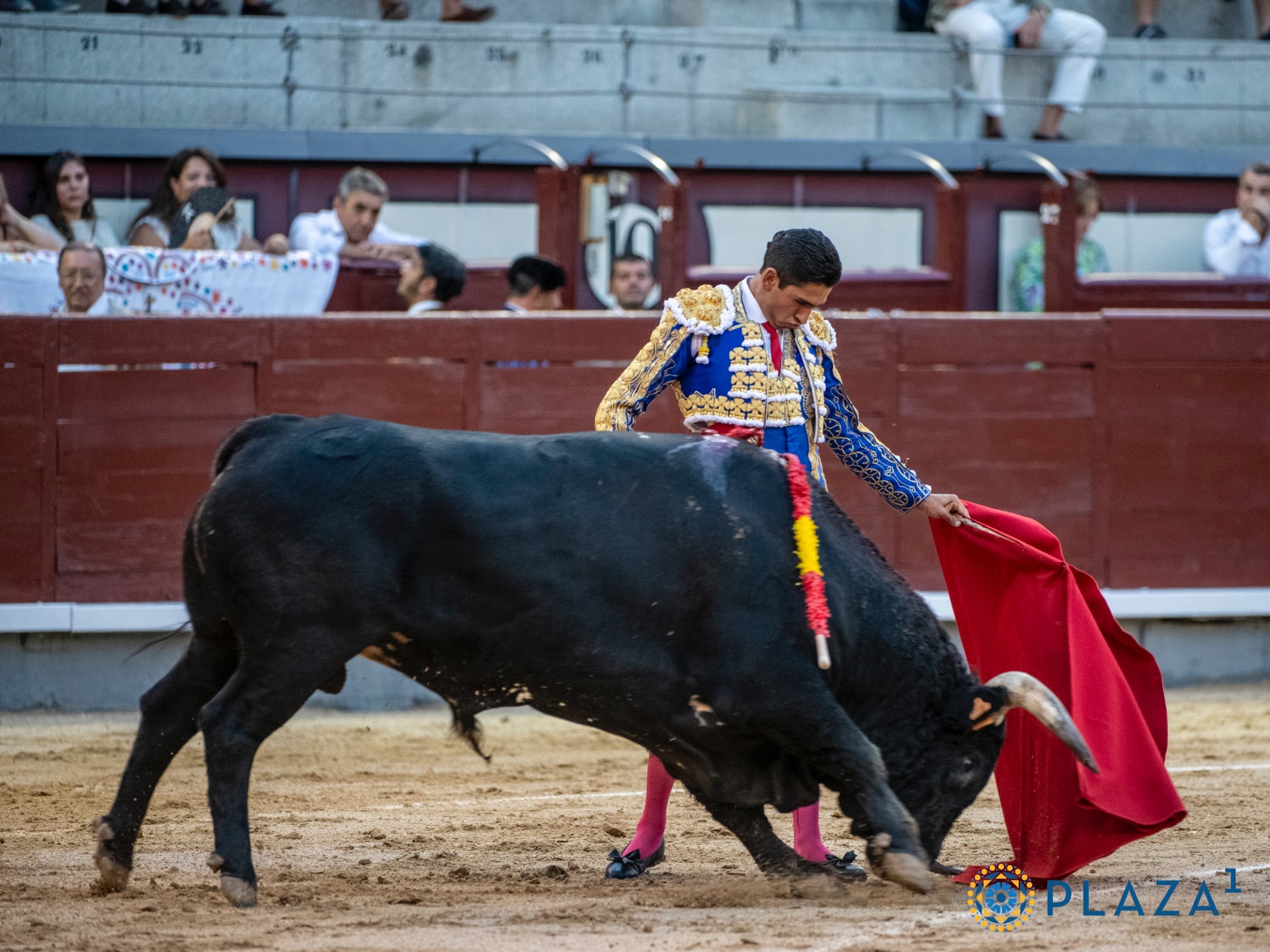 Imagen 1