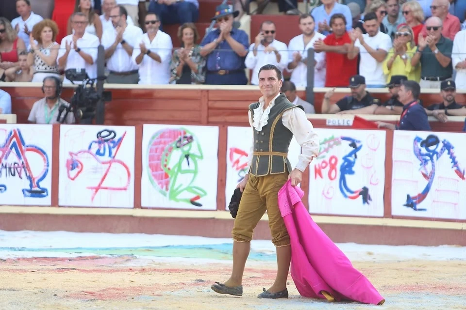 Imagen 2