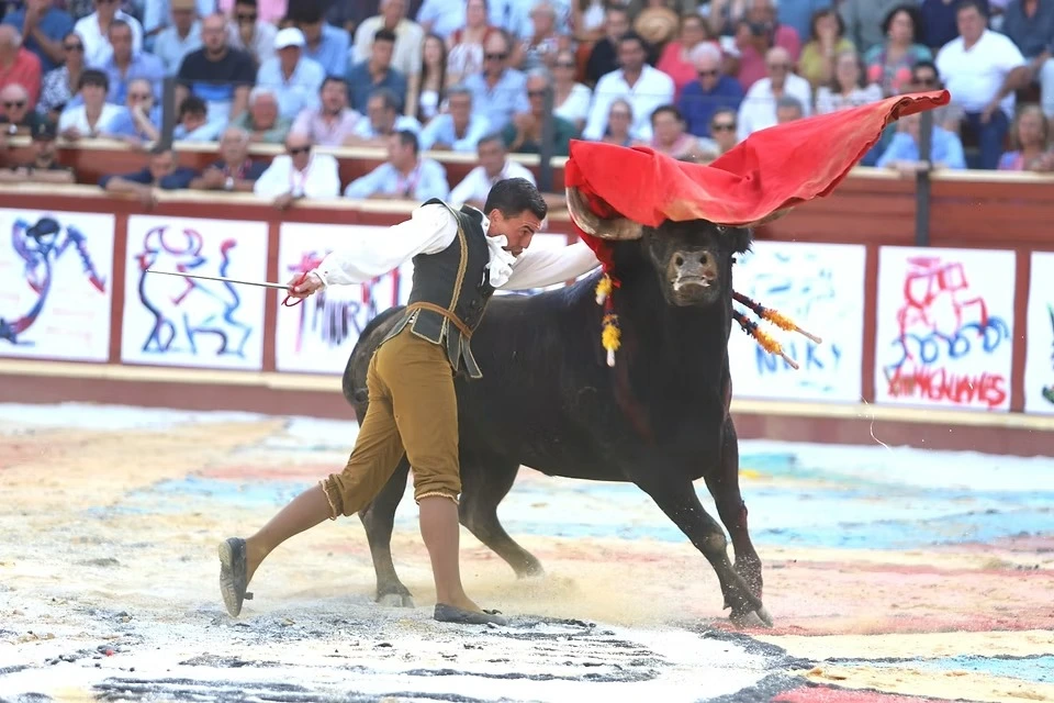 Imagen 3