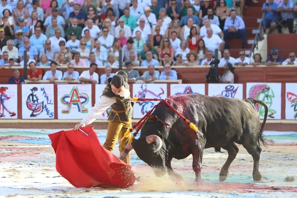 Imagen 4