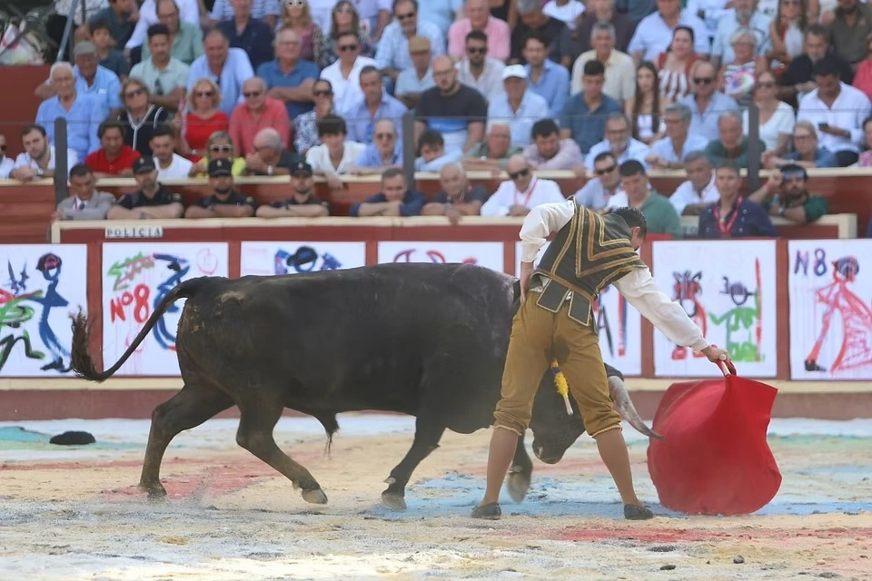 Imagen 5
