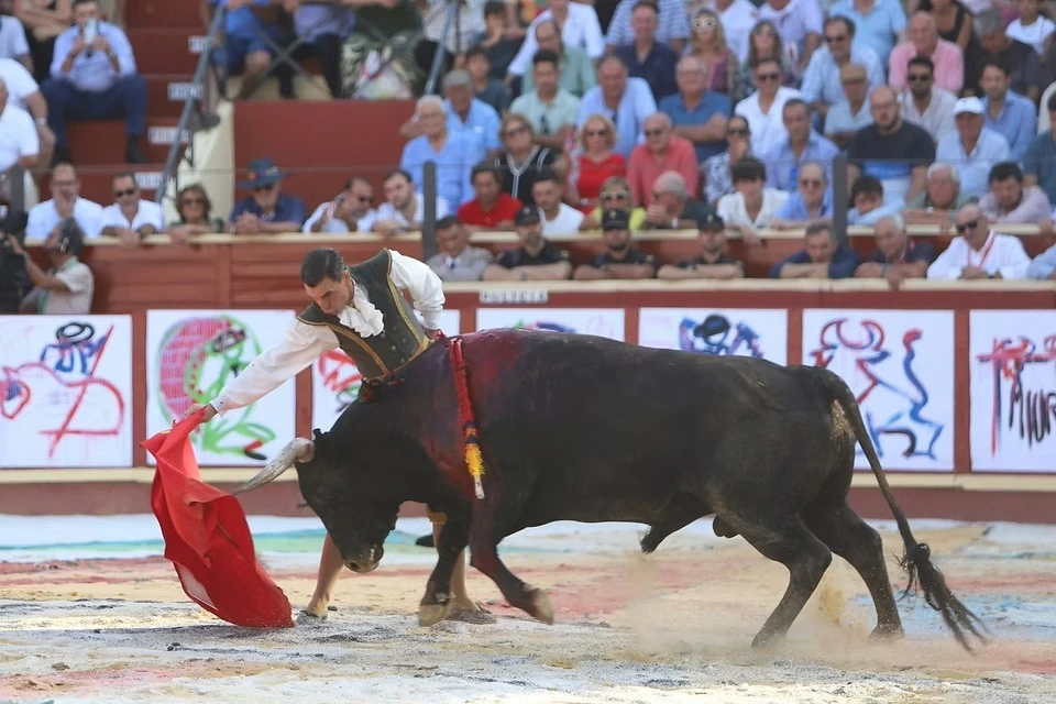 Imagen 6