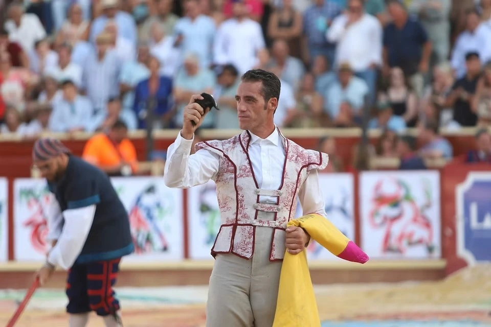 Imagen 7