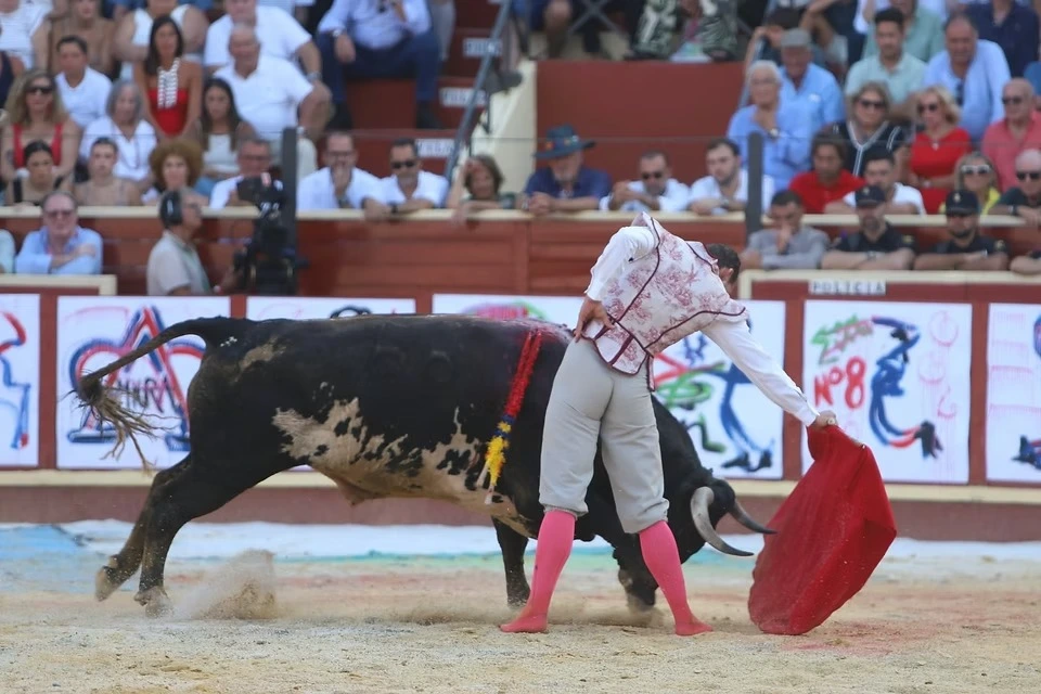 Imagen 8