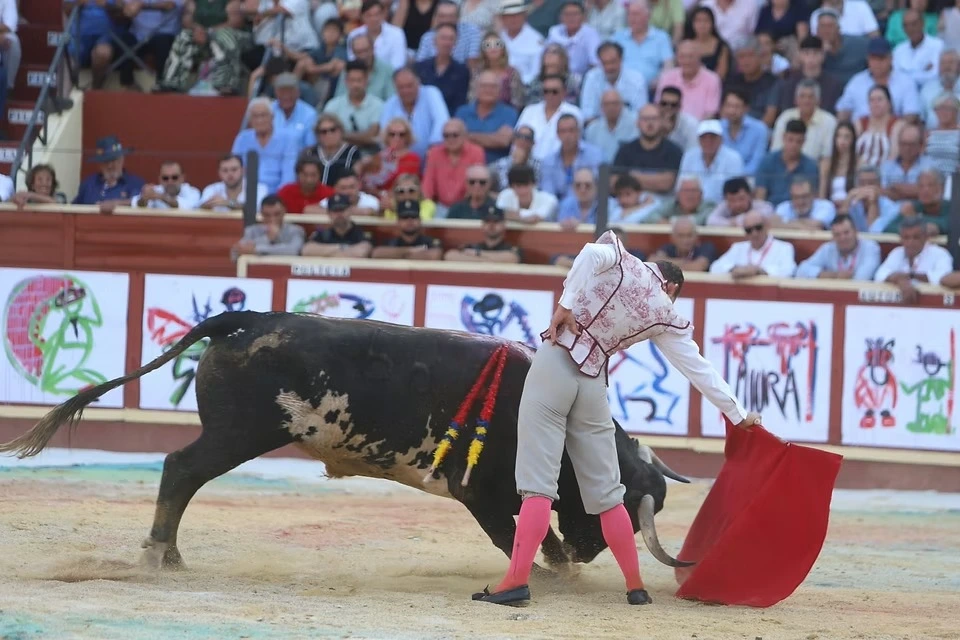 Imagen 9