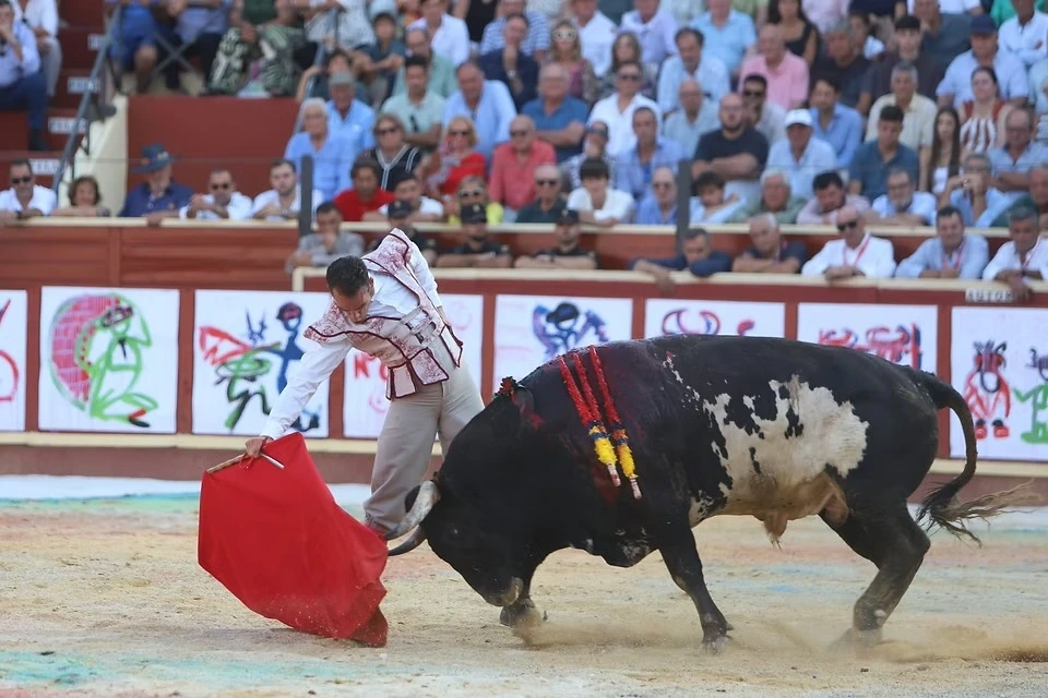 Imagen 10