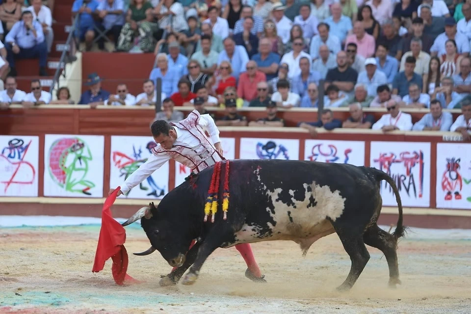 Imagen 11