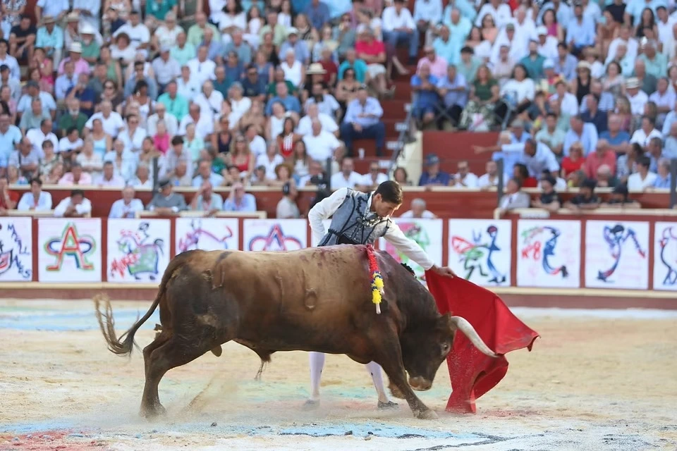 Imagen 12
