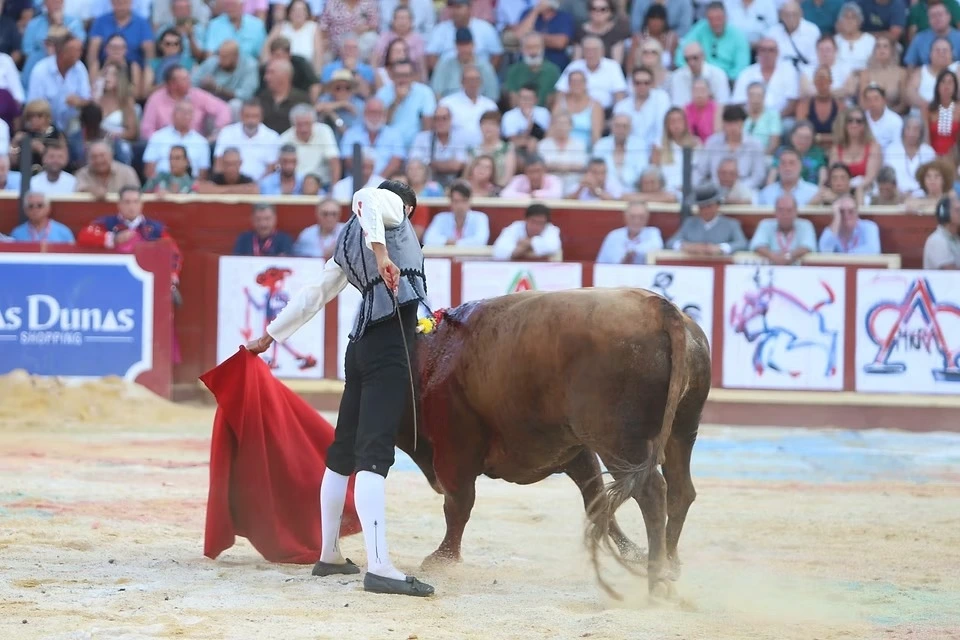 Imagen 13
