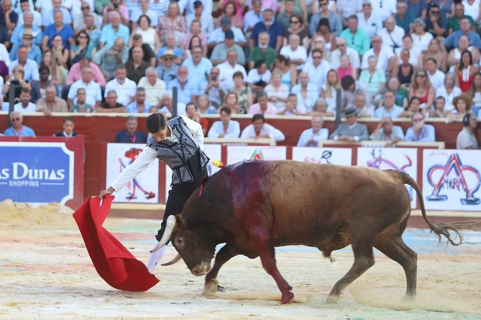Imagen 14