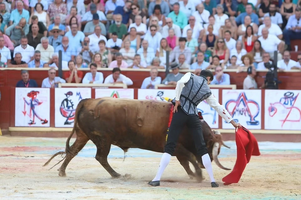 Imagen 15