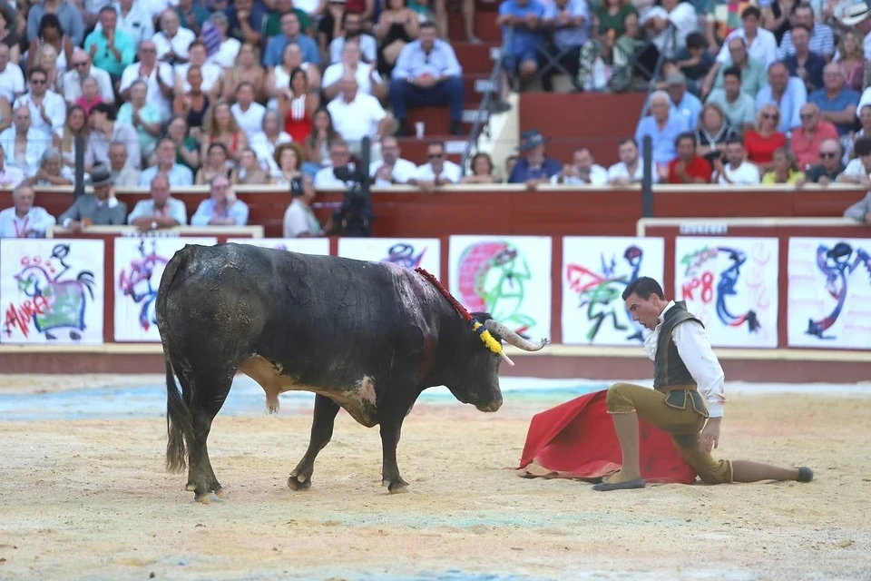 Imagen 17