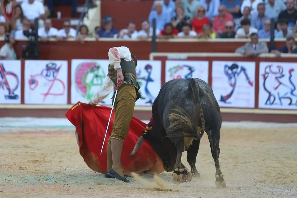 Imagen 18