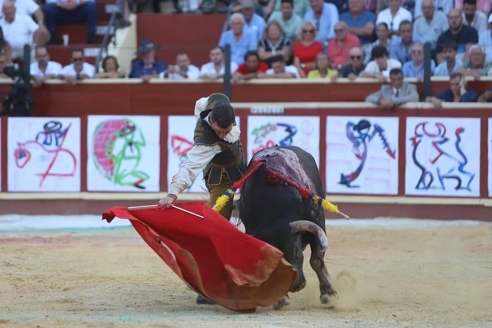Imagen 19