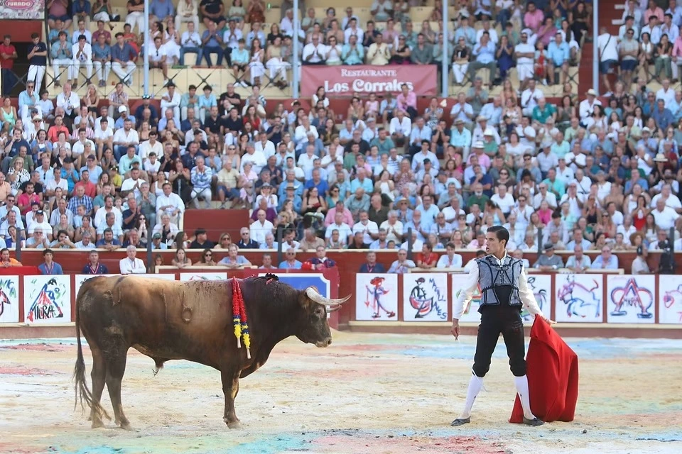 Imagen 21