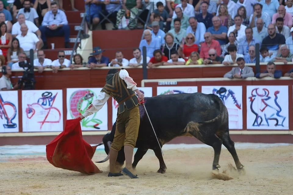 Imagen 22
