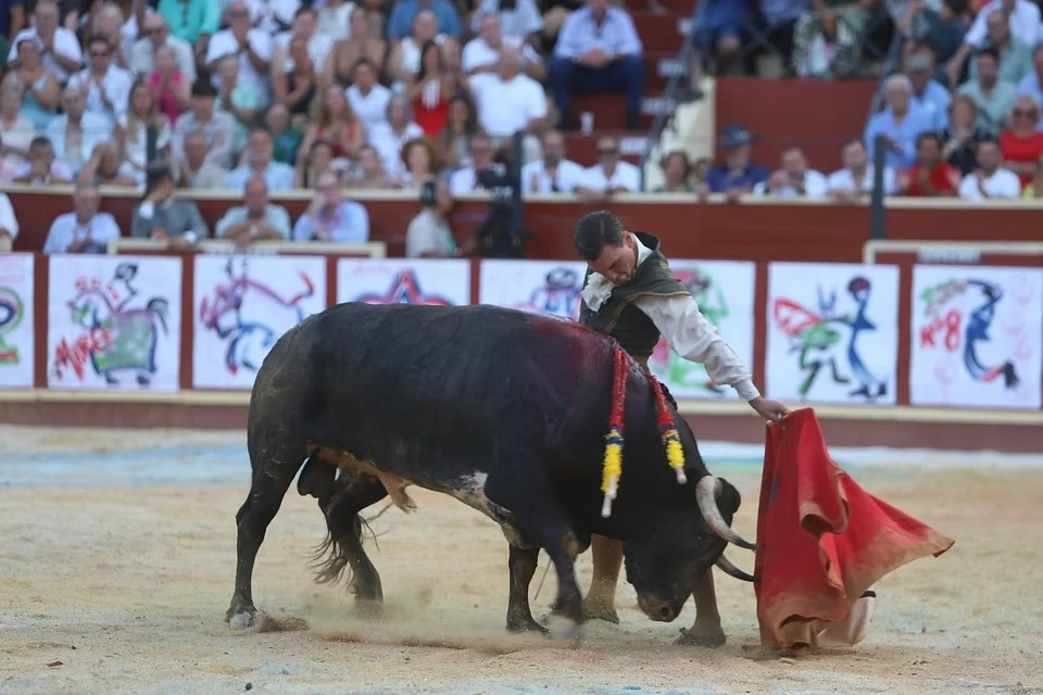 Imagen 23