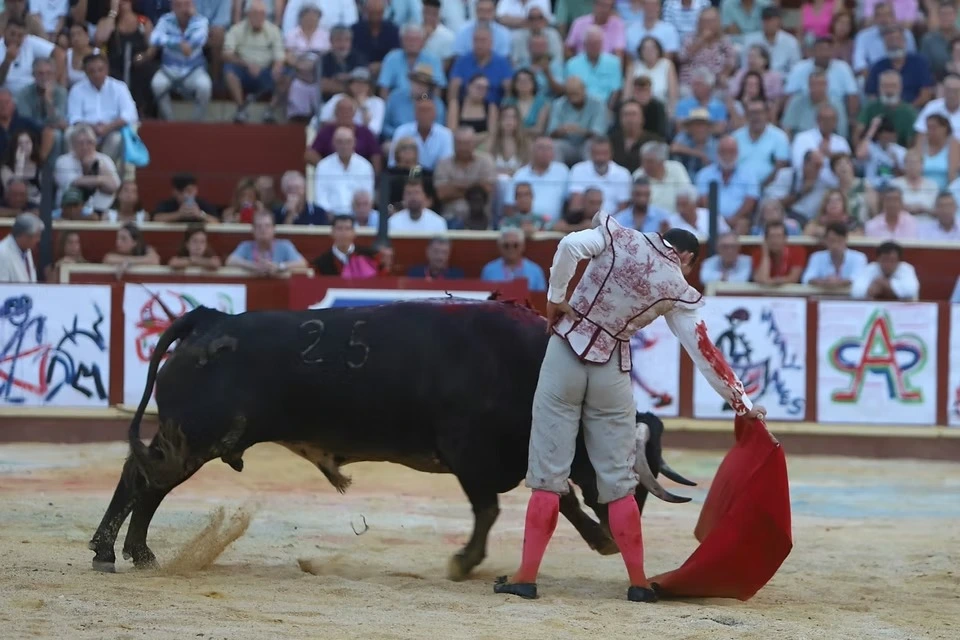 Imagen 27