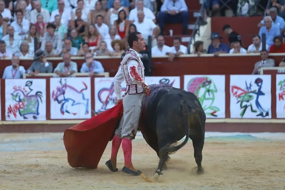 Imagen 28