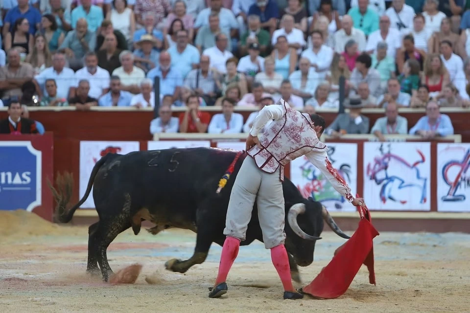 Imagen 29