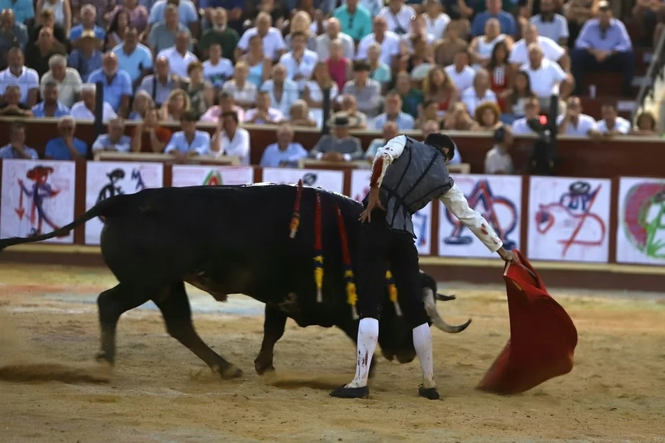 Imagen 33