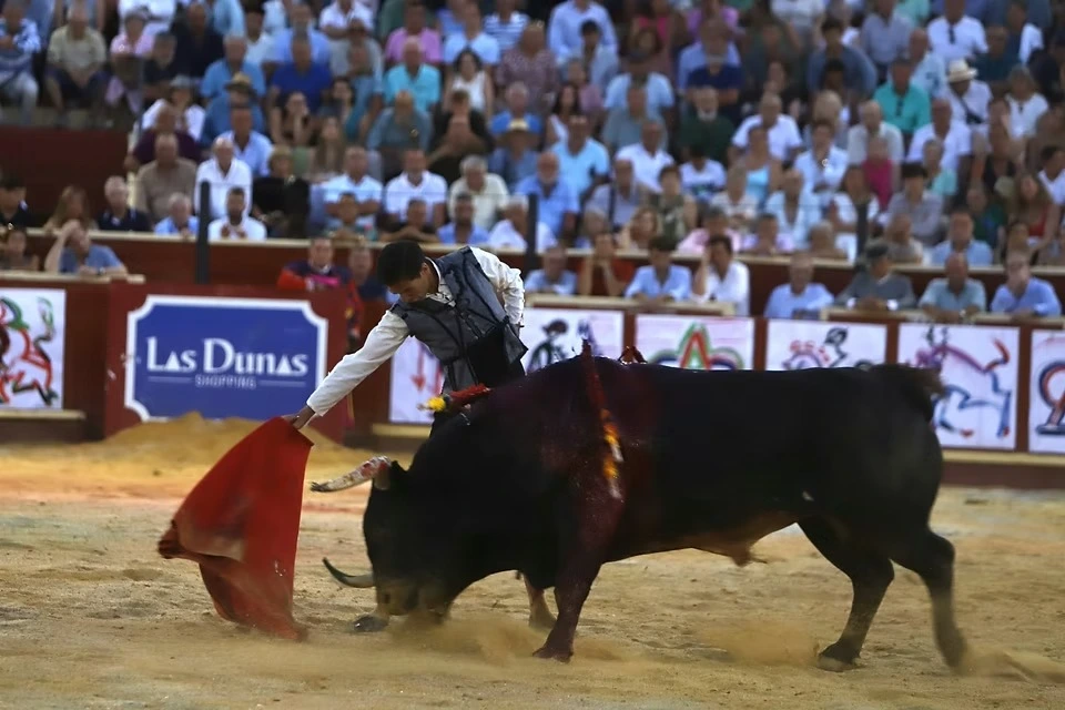 Imagen 34