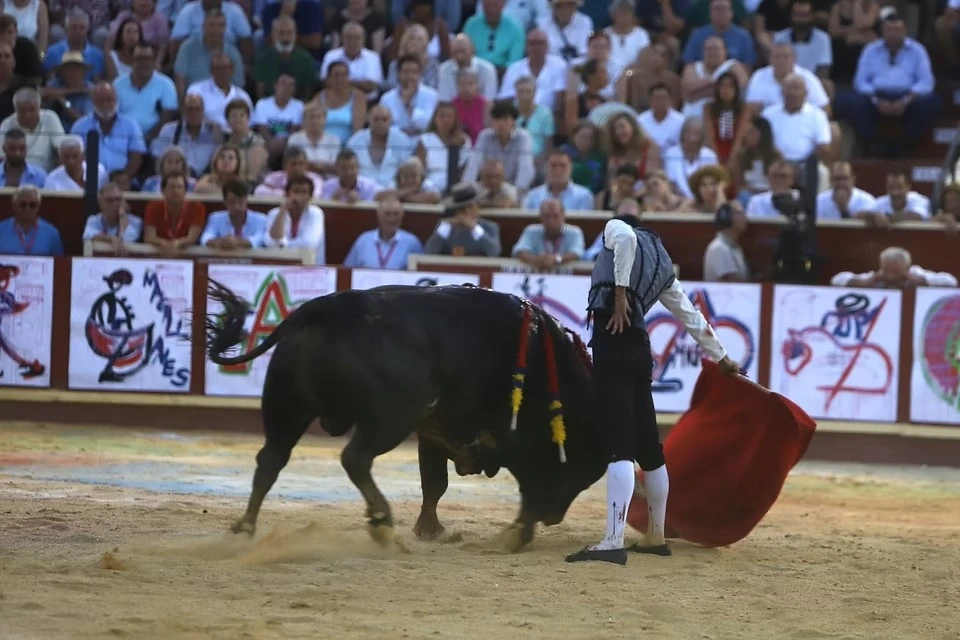 Imagen 35