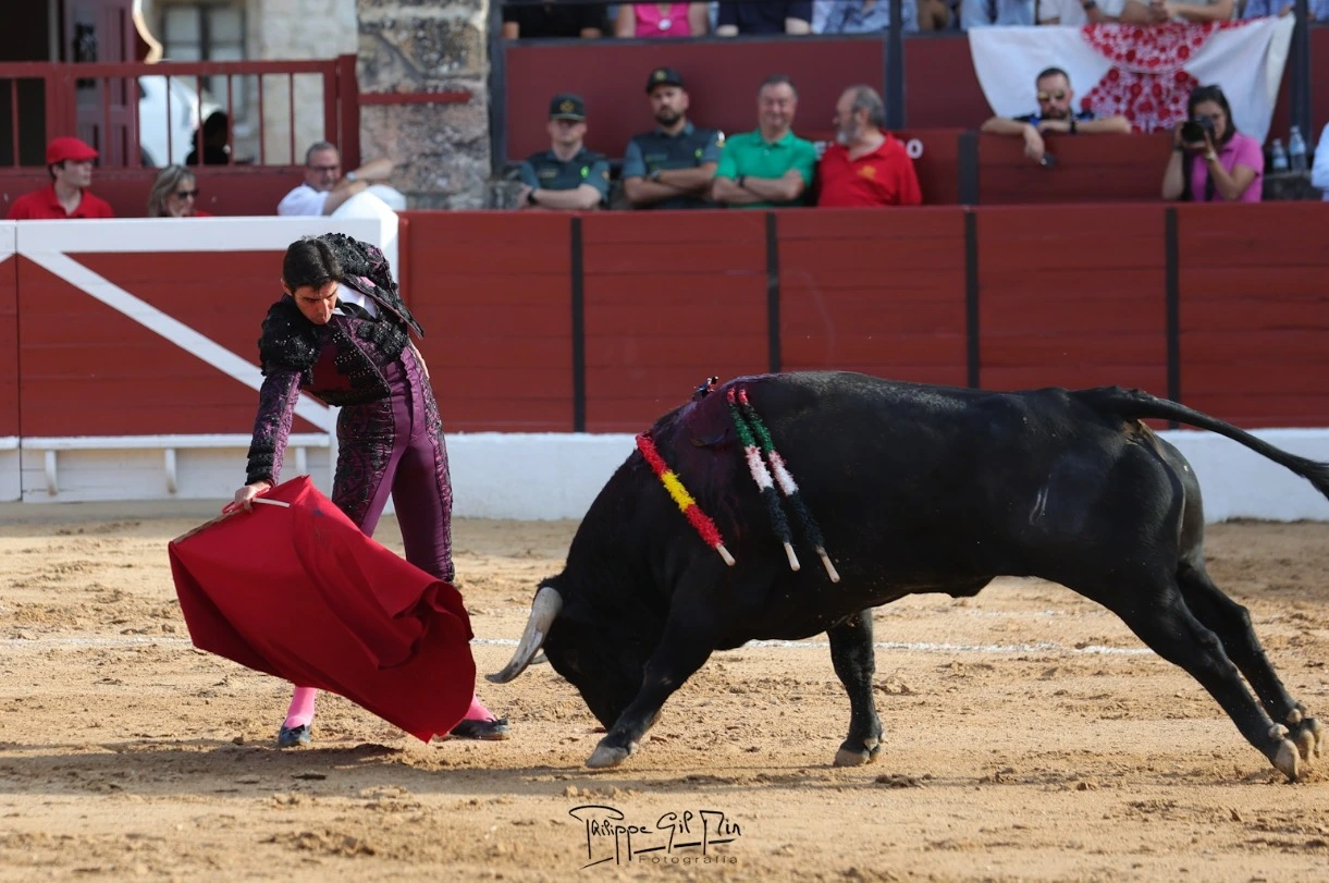 Imagen 1