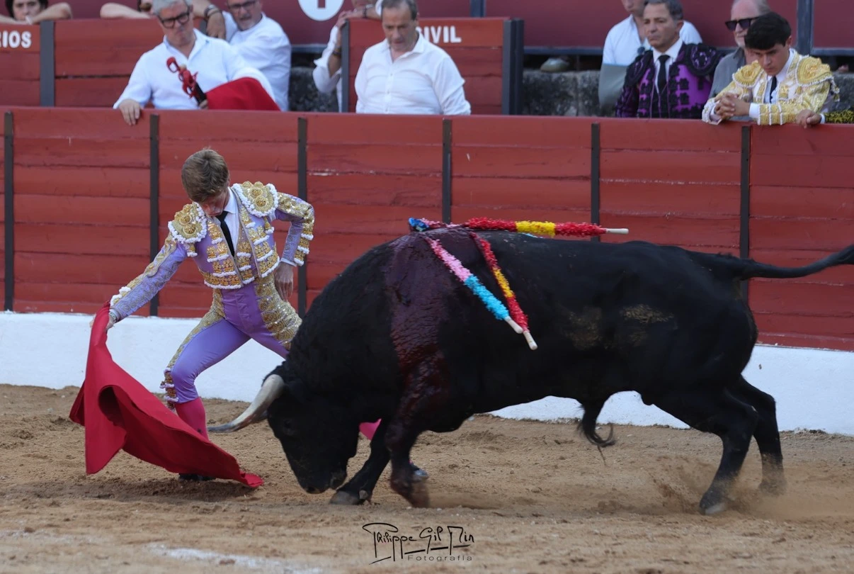 Imagen 2