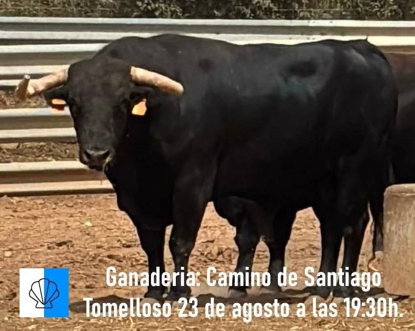 Imagen 3