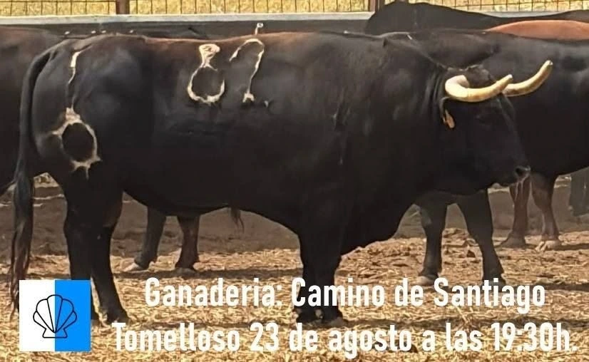 Imagen 4