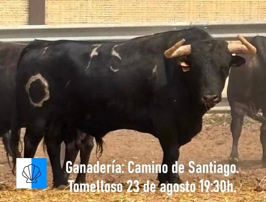 Imagen 5