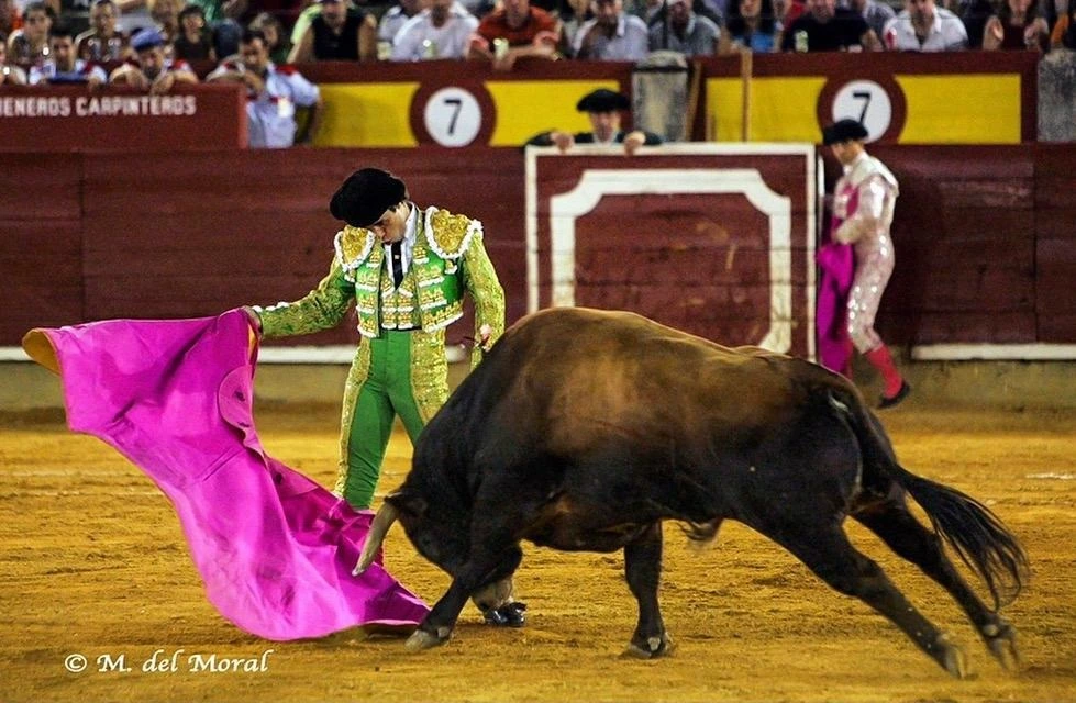 Imagen 1