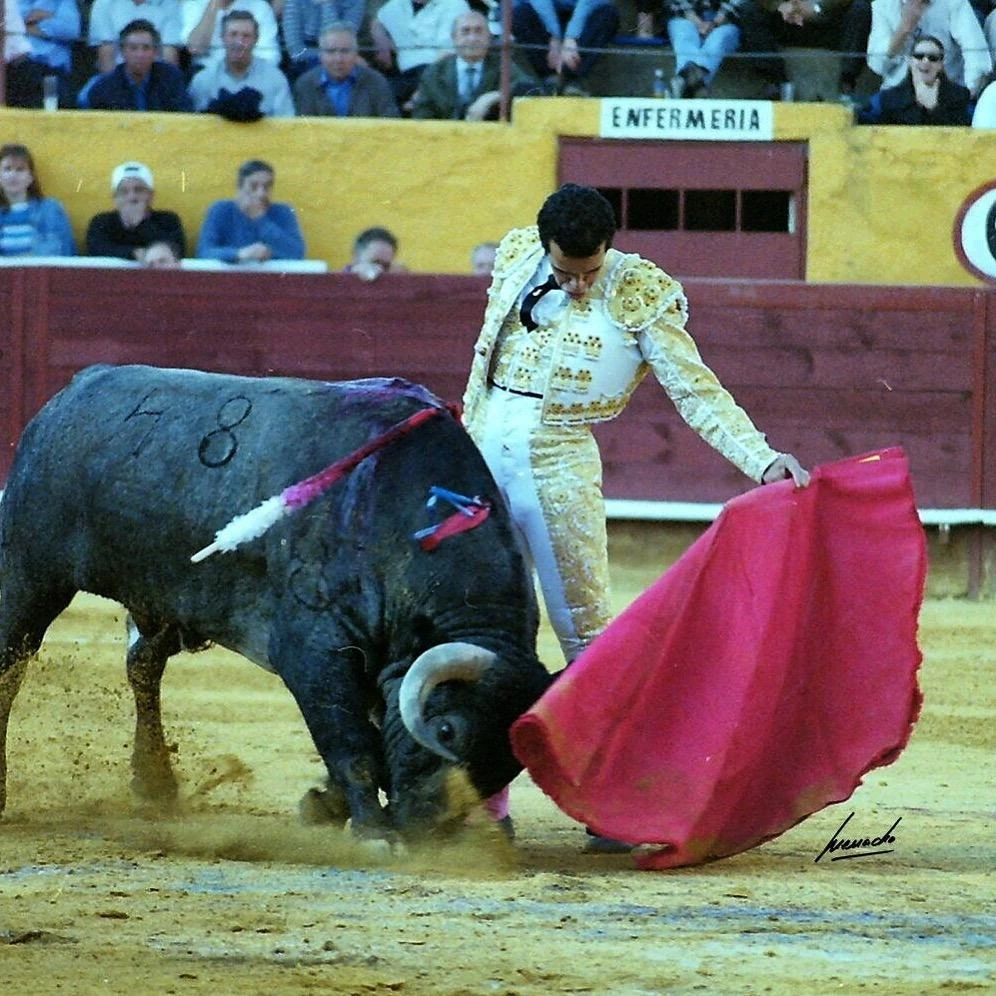 Imagen 2
