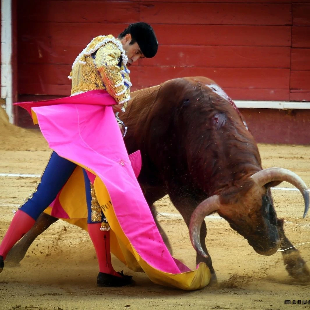 Imagen 3