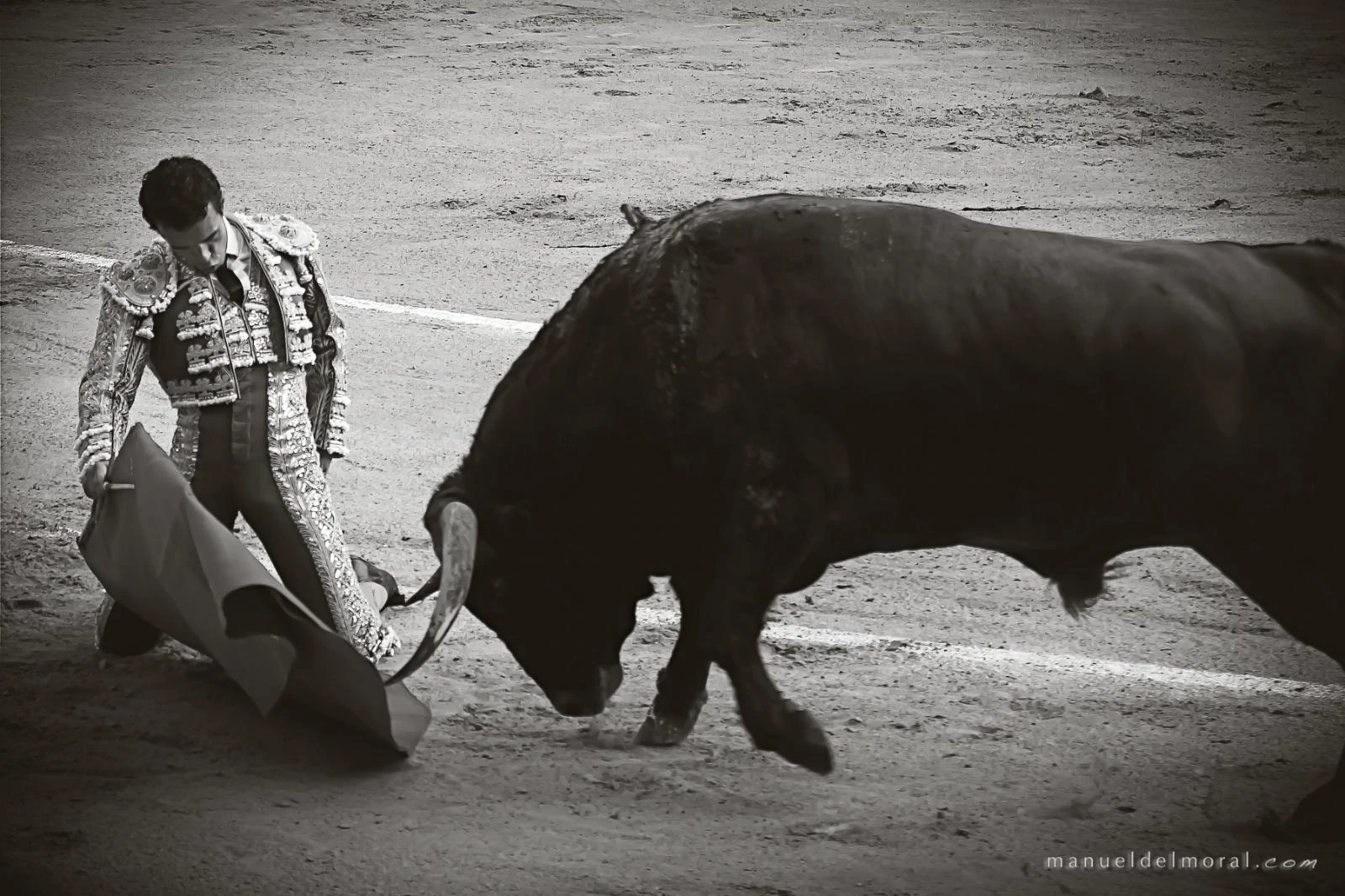Imagen 5
