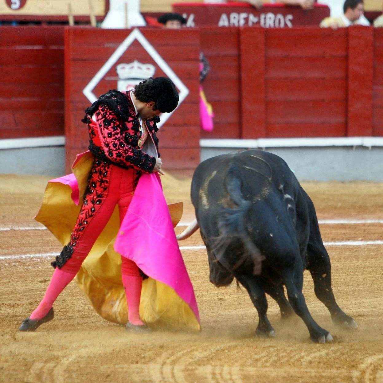 Imagen 6