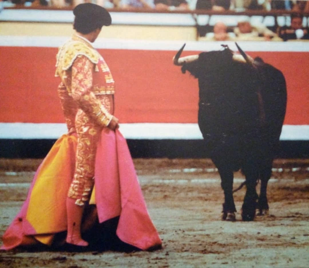 Imagen 7