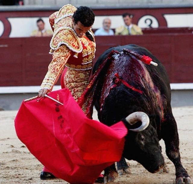 Imagen 8