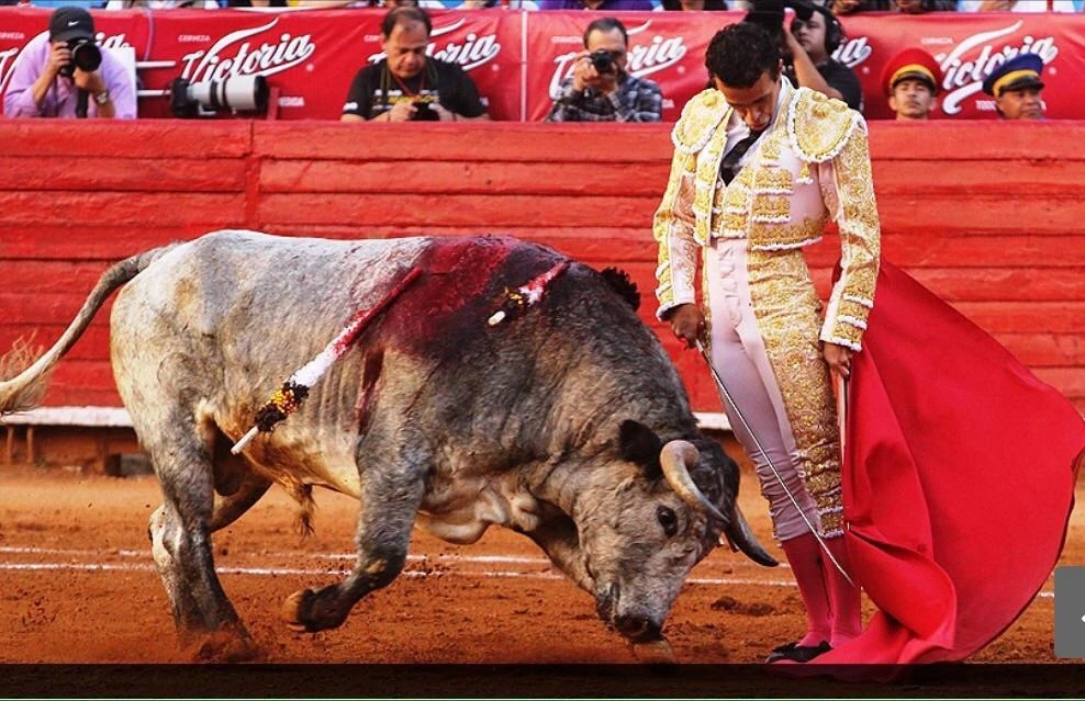 Imagen 9