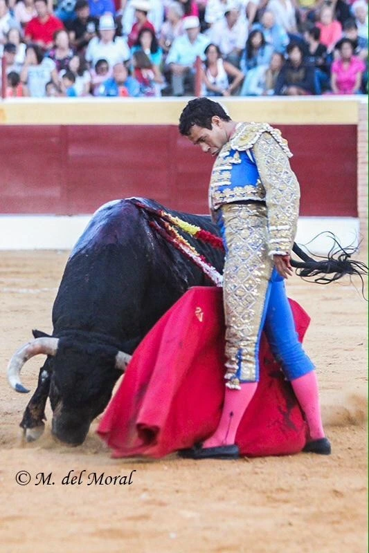 Imagen 10
