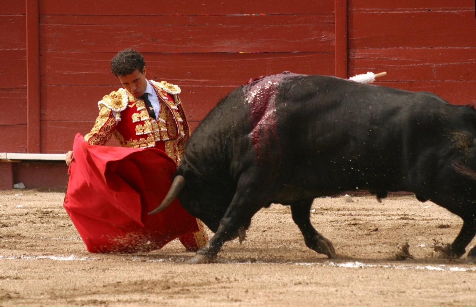 Imagen 13
