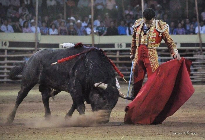 Imagen 14