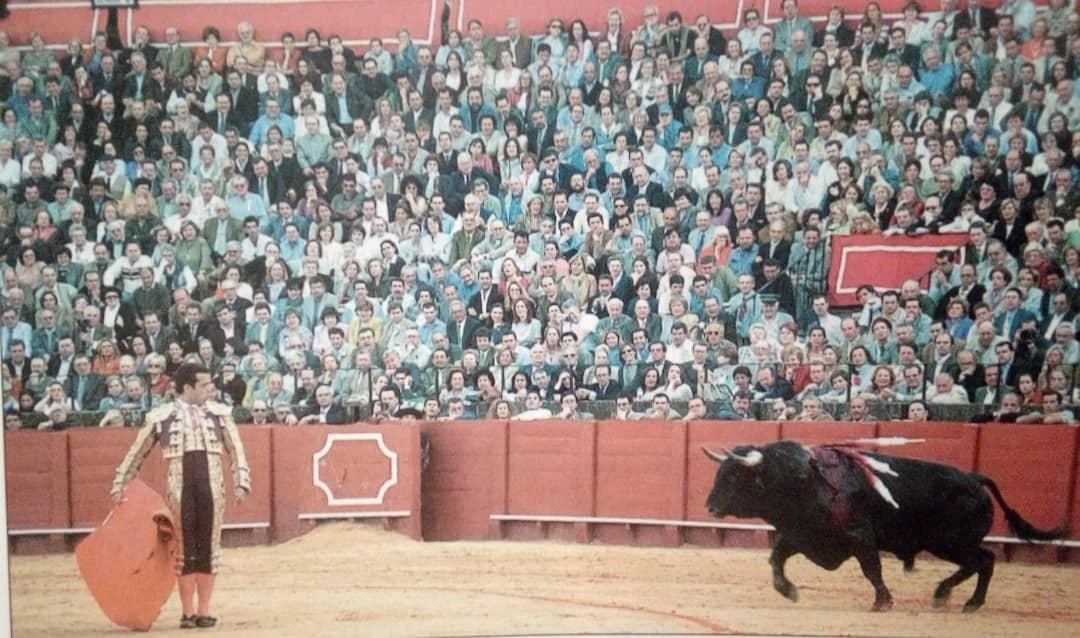 Imagen 15