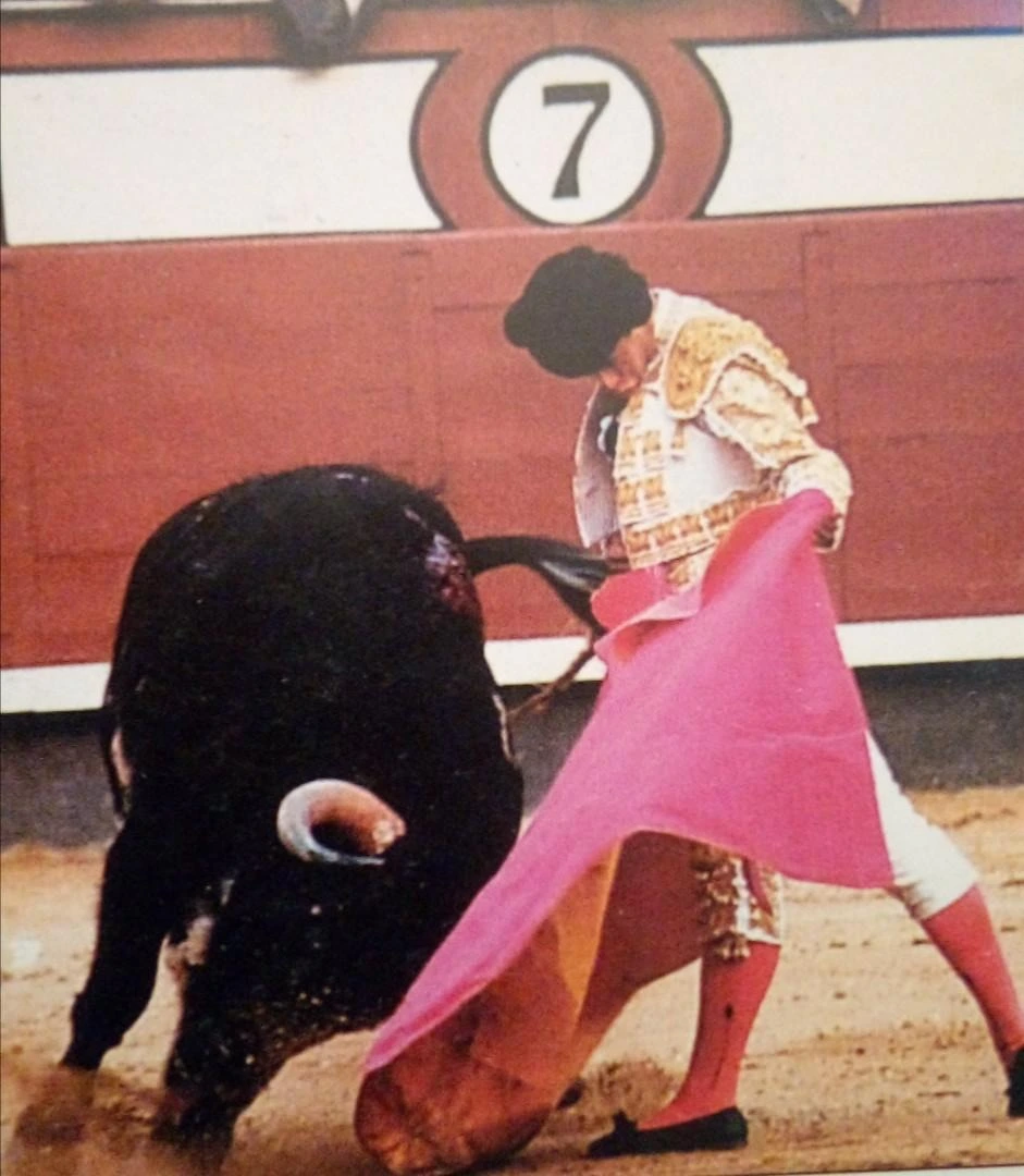 Imagen 17