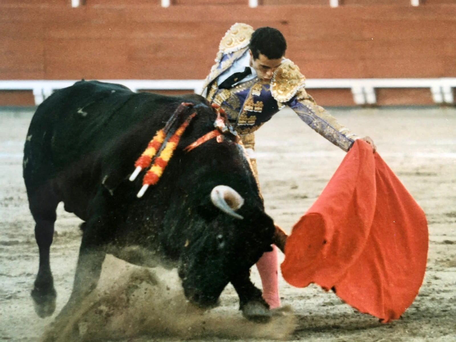 Imagen 19